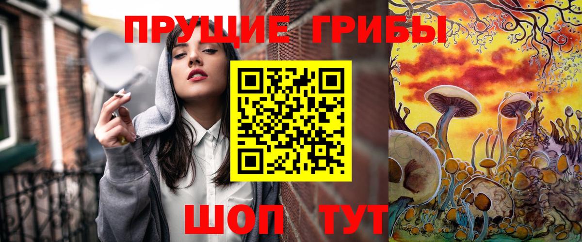 Псилоцибиновые грибы Psilocybine cubensis  Вход с VPN  Кузнецк 