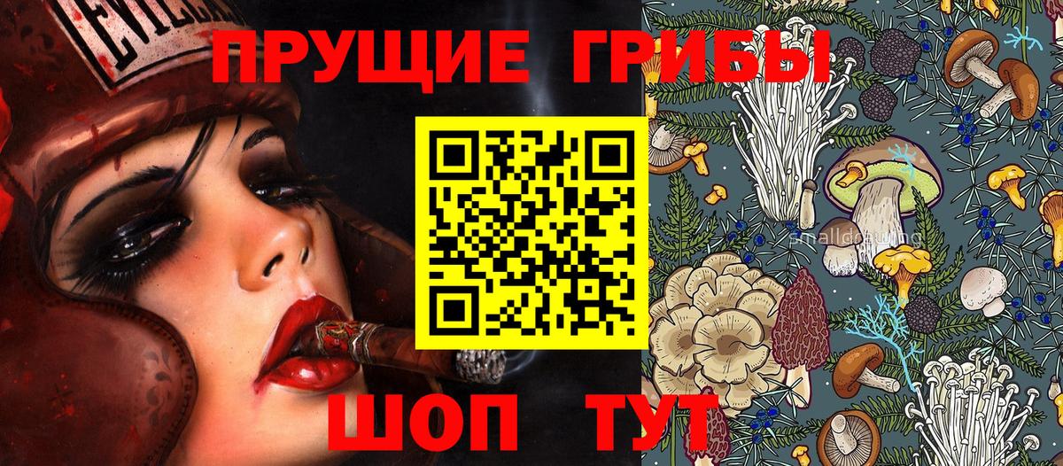 Псилоцибиновые грибы GOLDEN TEACHER Кузнецк
